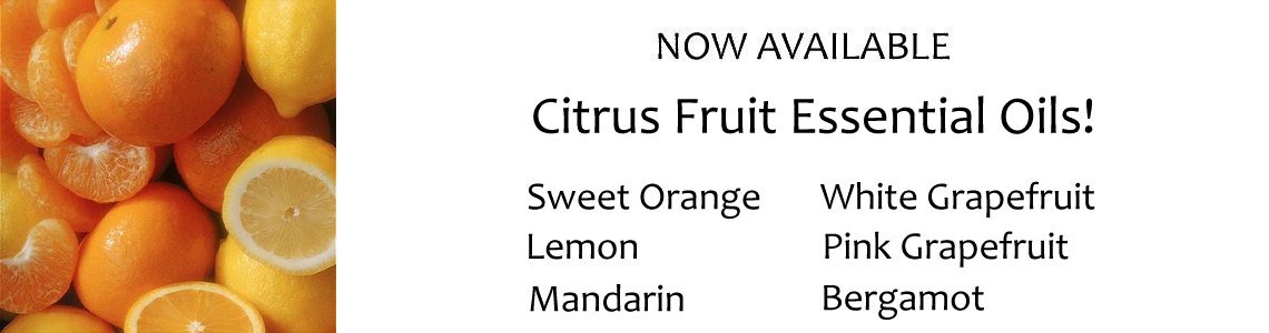Home Page Banner Citrus