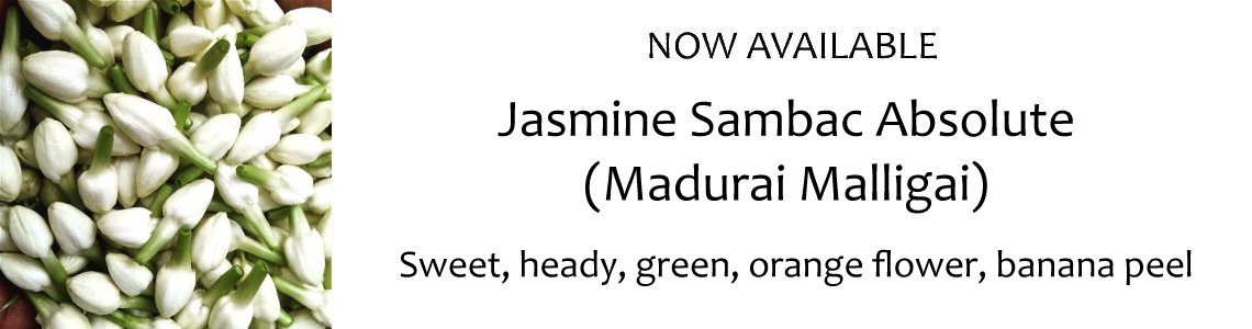 Home Page Banner Jasmine Sambac