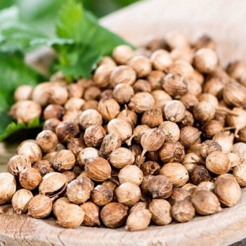 Coriander Seed CO2 Extract