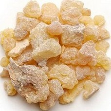 Olibanum (Frankincense - Boswellia Serrata) Essential Oil