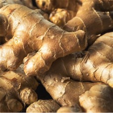 Ginger Essential Oil