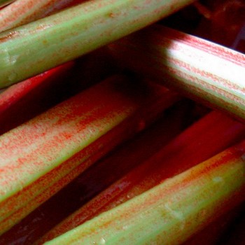 Rhubofix (Firmenich)