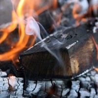 Birch Tar Oil (Rectified) 10% in DPG