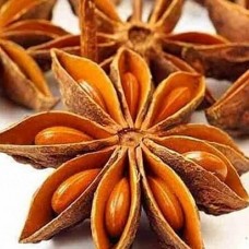Star Anise Essential Oil